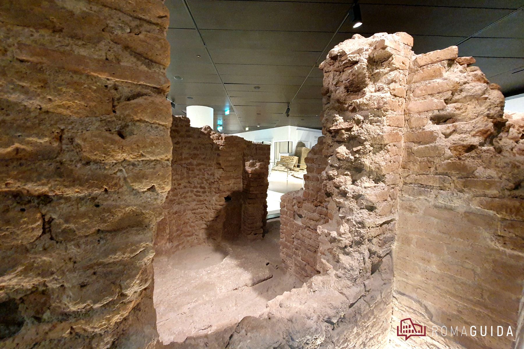 Visita guidata Museo Ninfeo