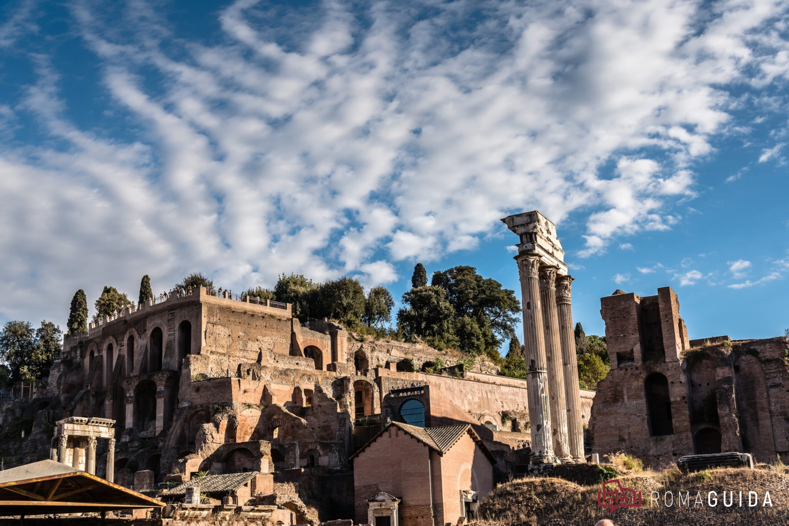 Visita guidata Siti Super Foro Romano