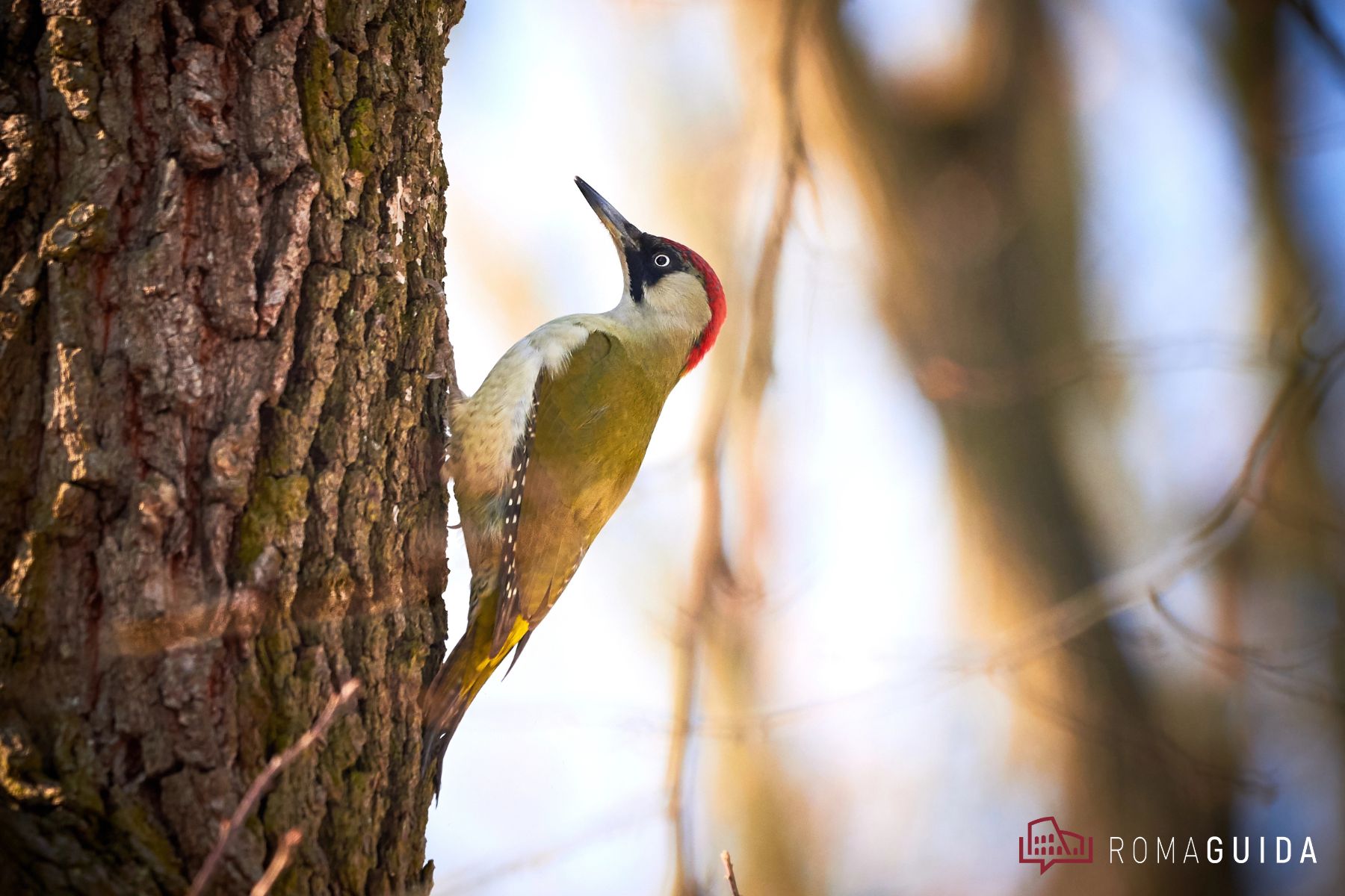 Riserva dell'Insugherata Roma