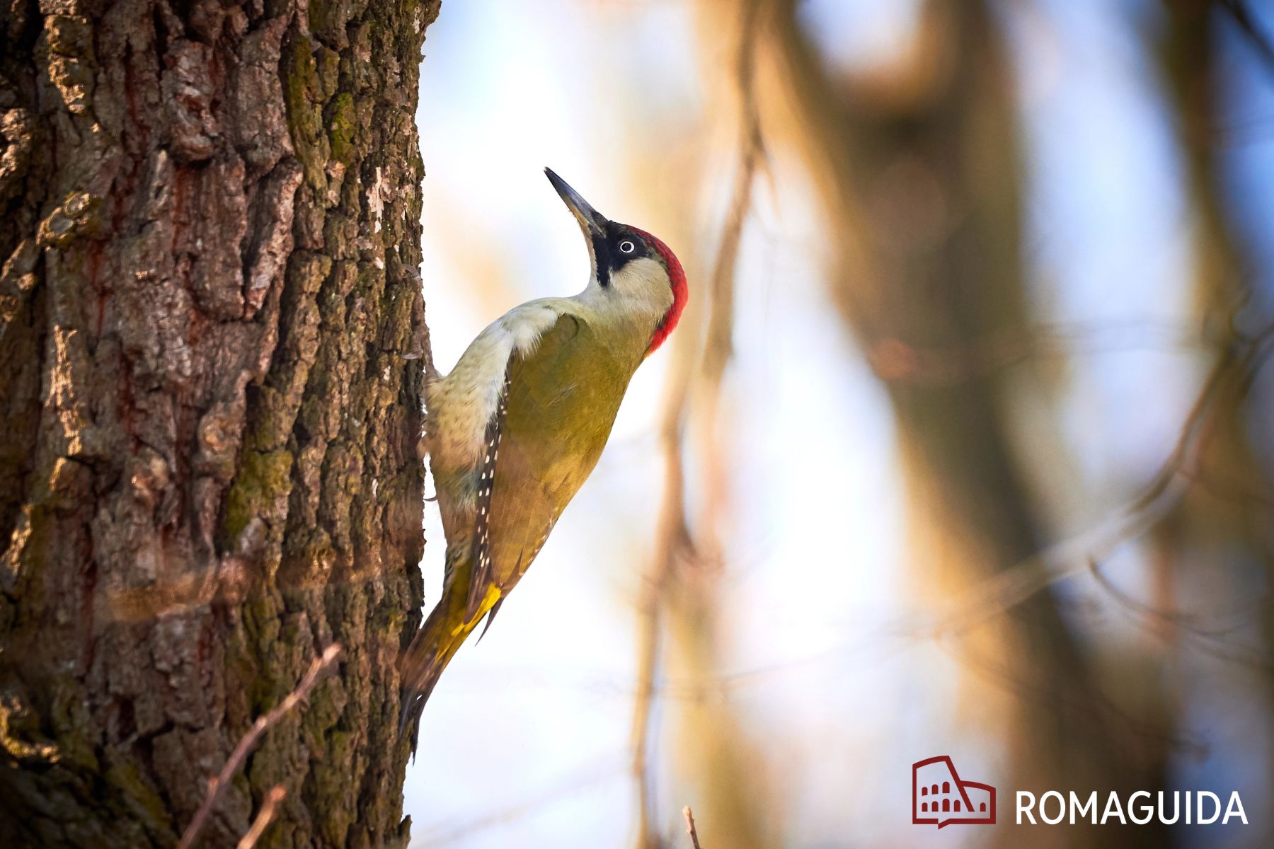 Riserva dell'Insugherata Roma