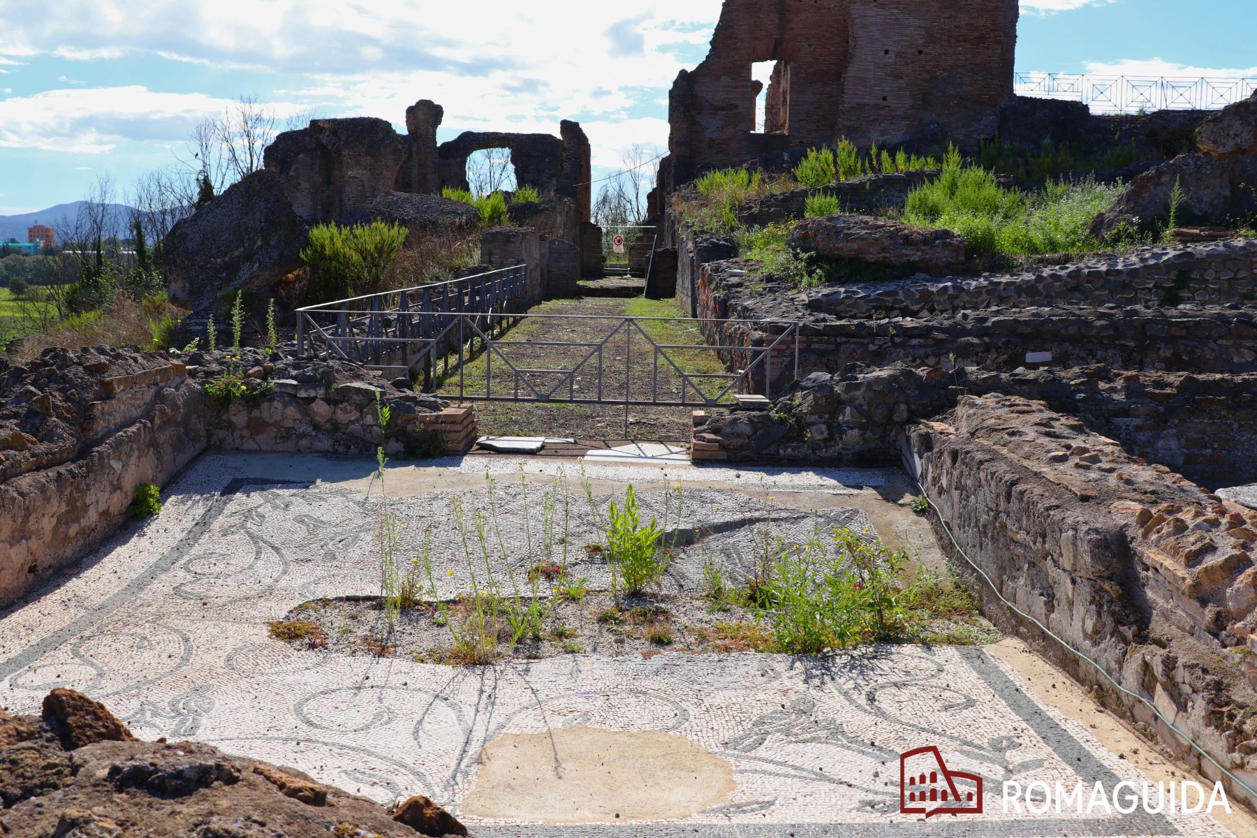 Visita guidata Villa dei Quintili Roma