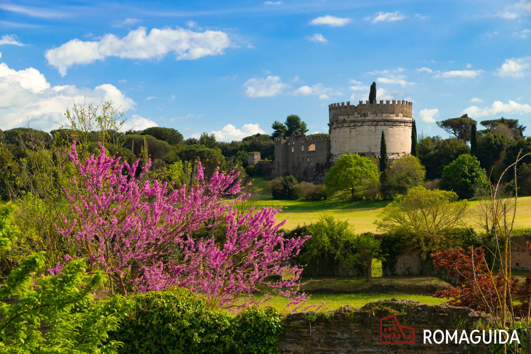 Visita naturalistica Appia Antica