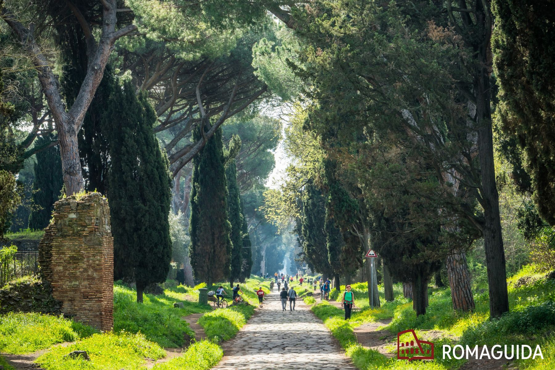 Visita naturalistica Appia Antica
