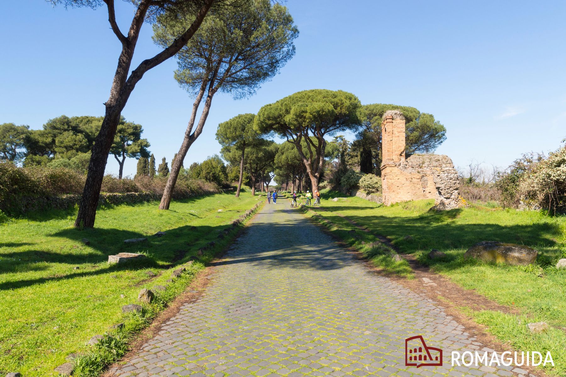 Visita naturalistica Appia Antica