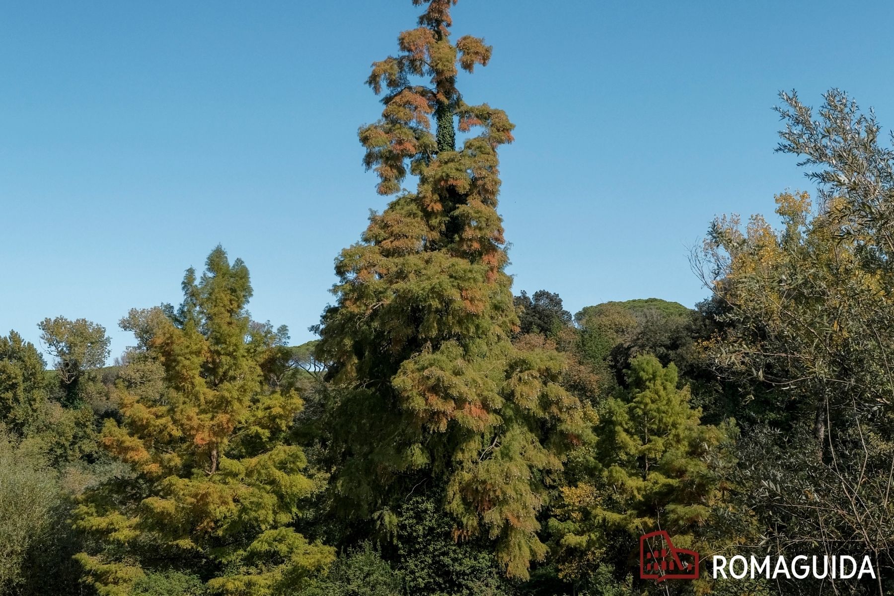 Visita naturalistica a Villa Doria Pamphilj Roma