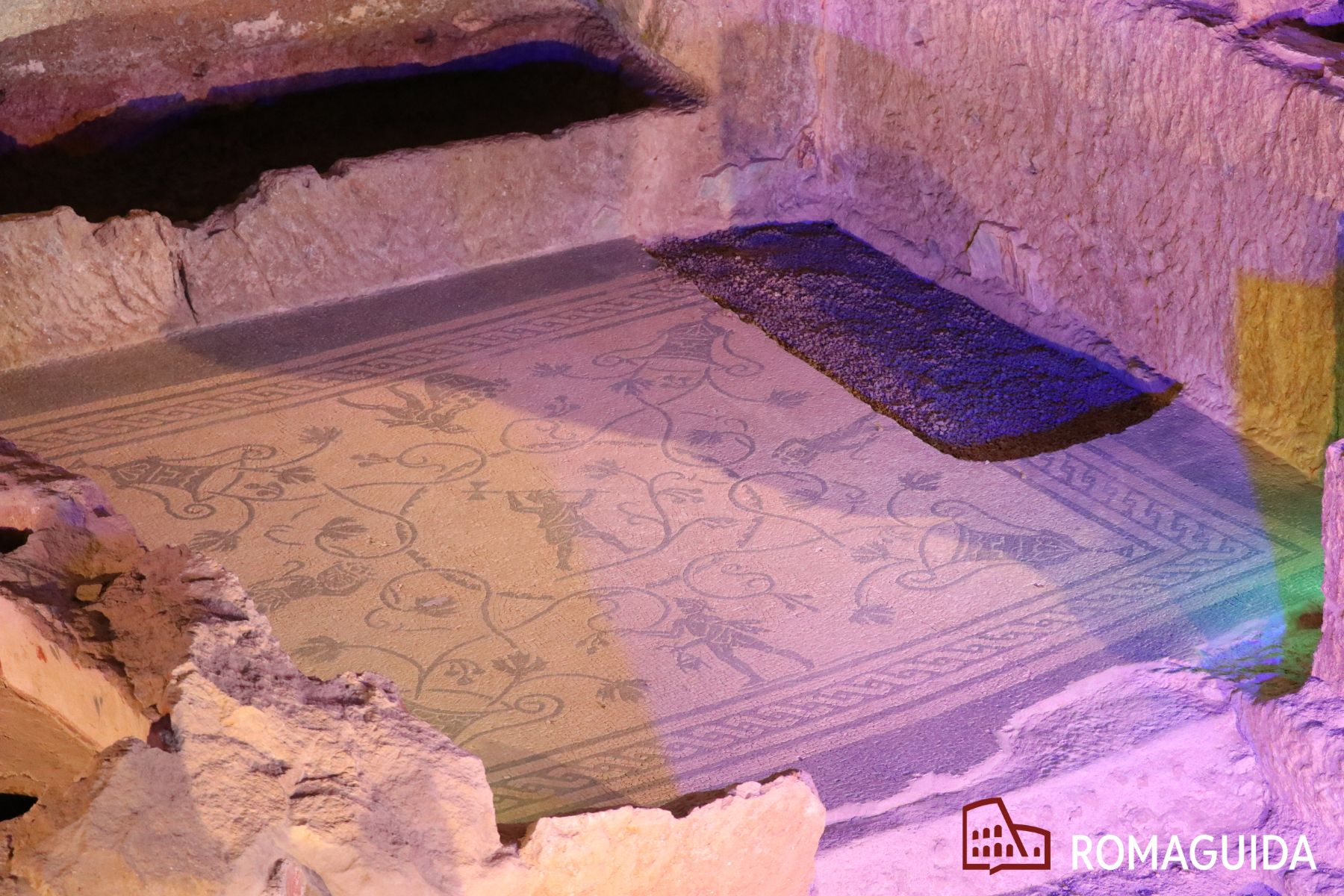 Drugstore Museum e Circuito della Necropoli Portuense Roma