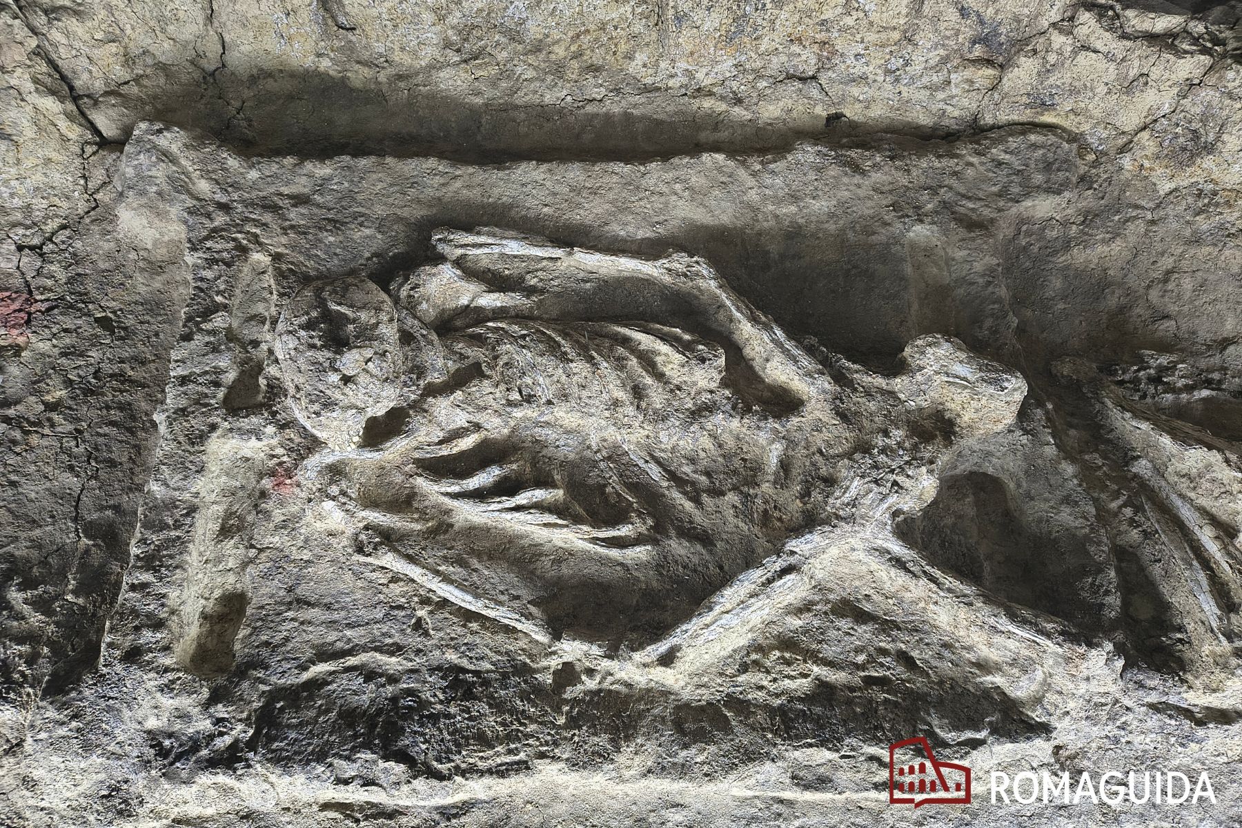 Drugstore Museum e Circuito della Necropoli Portuense Roma