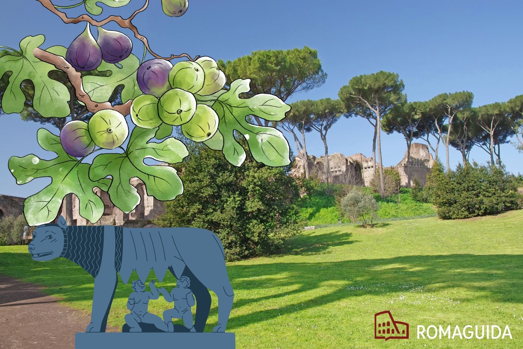 Visita bambini Palatino Roma