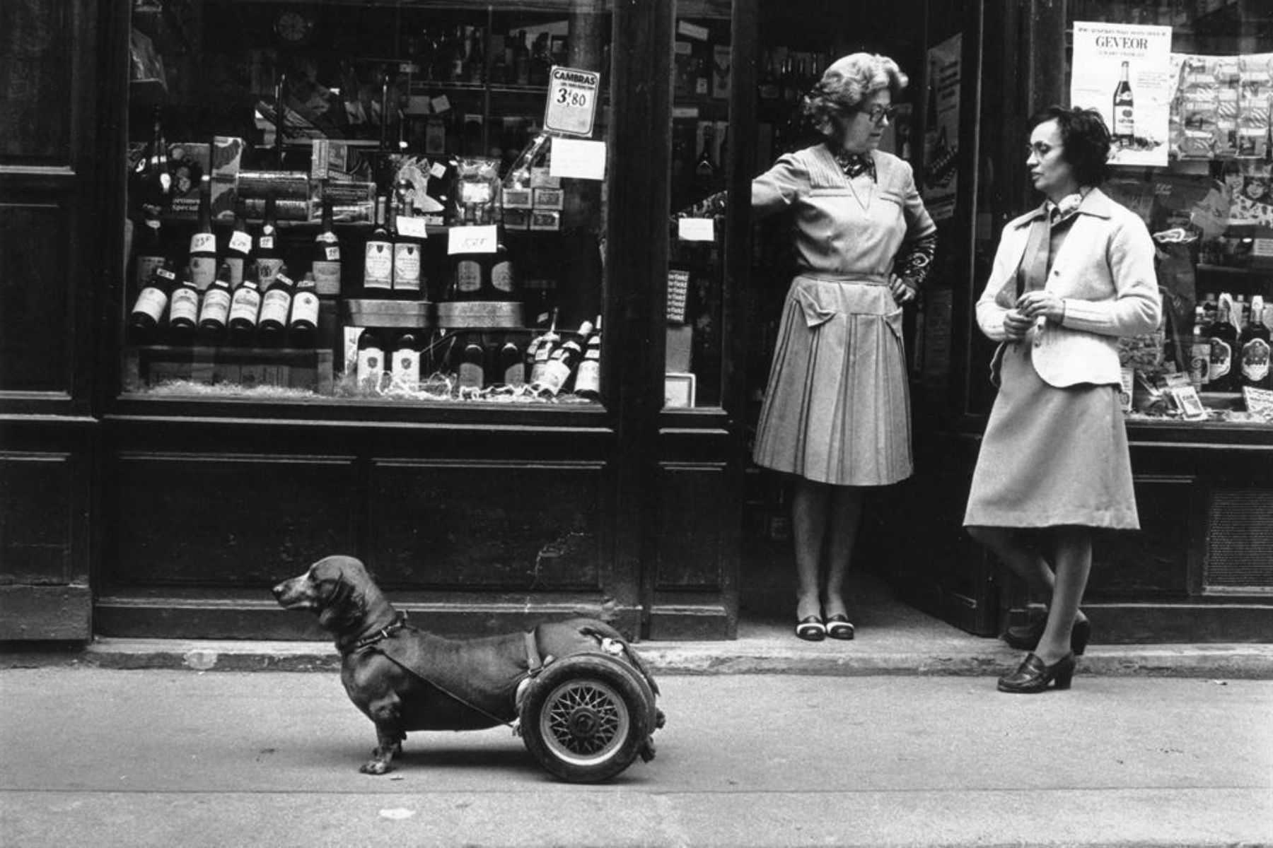 Mostra Robert Doisneau Roma