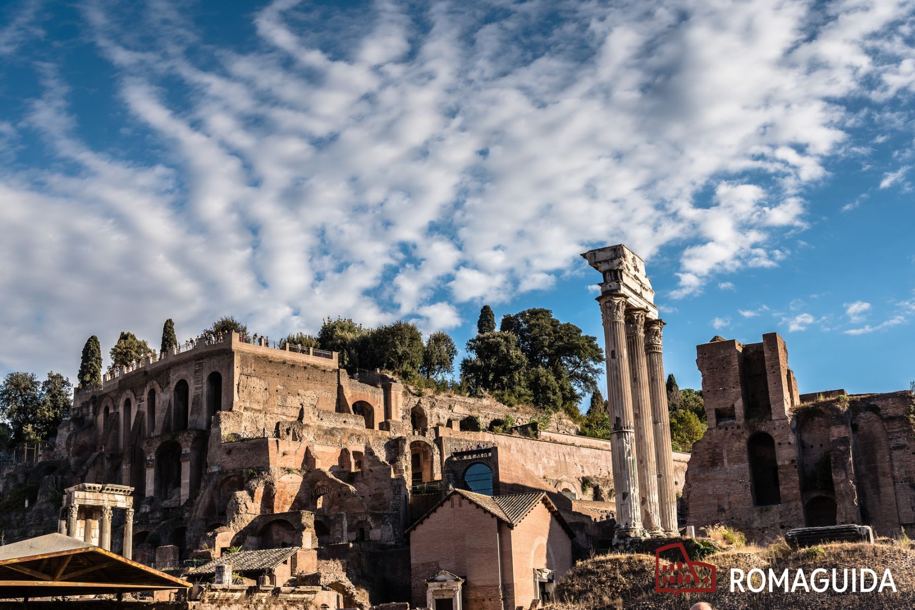 Visita guidata Siti Super Foro Romano