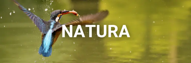 Visite Natura Roma