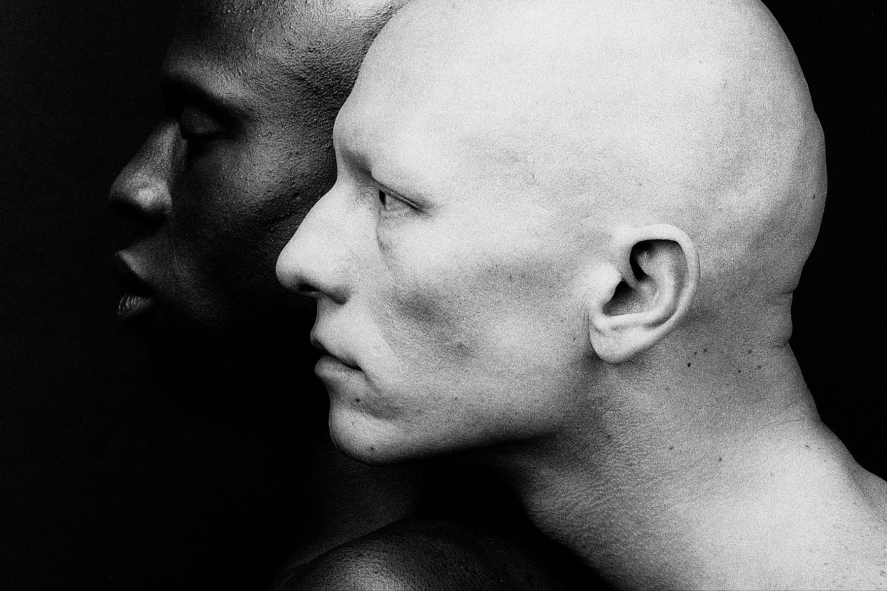 mostra mapplethorpe Roma