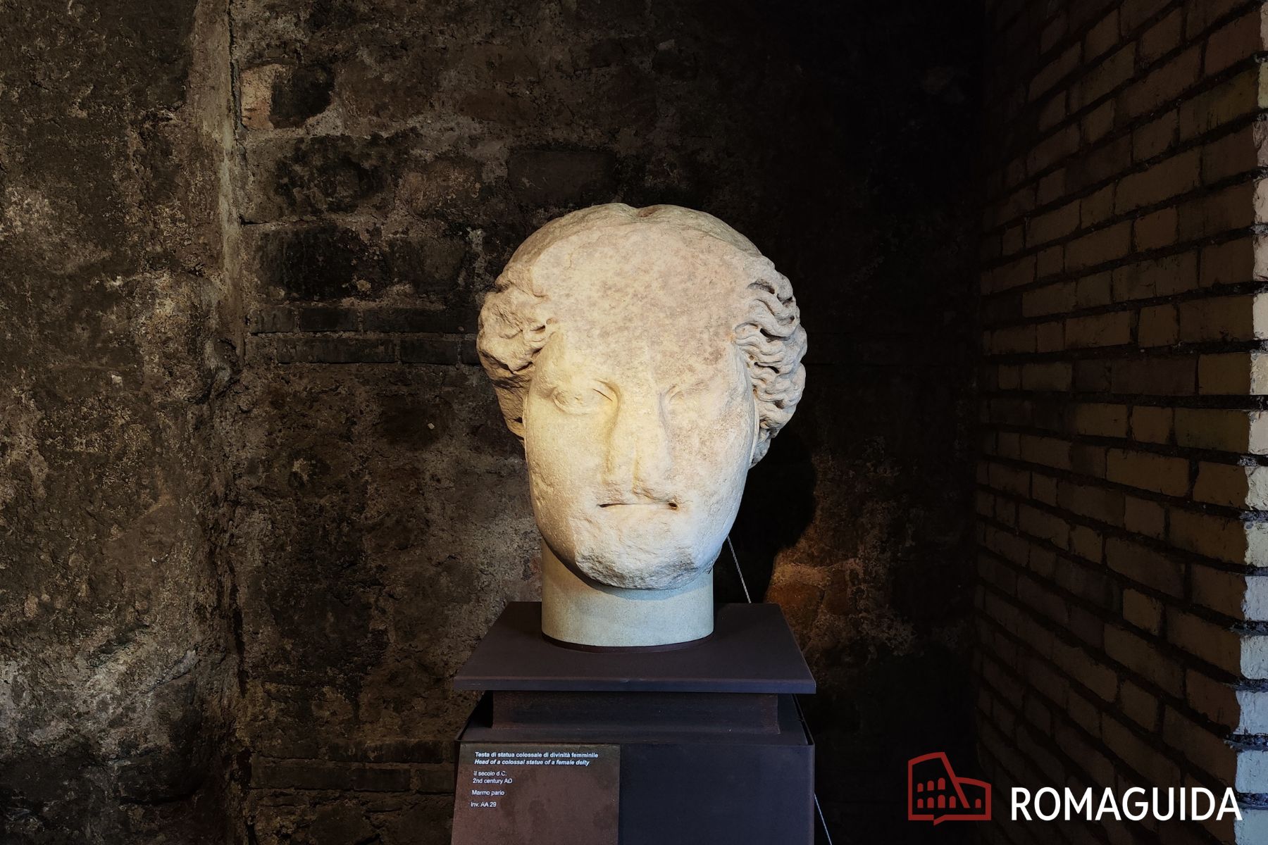 Visita guidata all'Area Sacra di Largo Argentina Roma