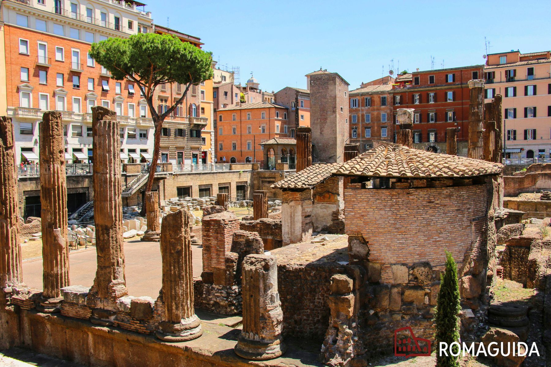 Visita guidata all'Area Sacra di Largo Argentina Roma