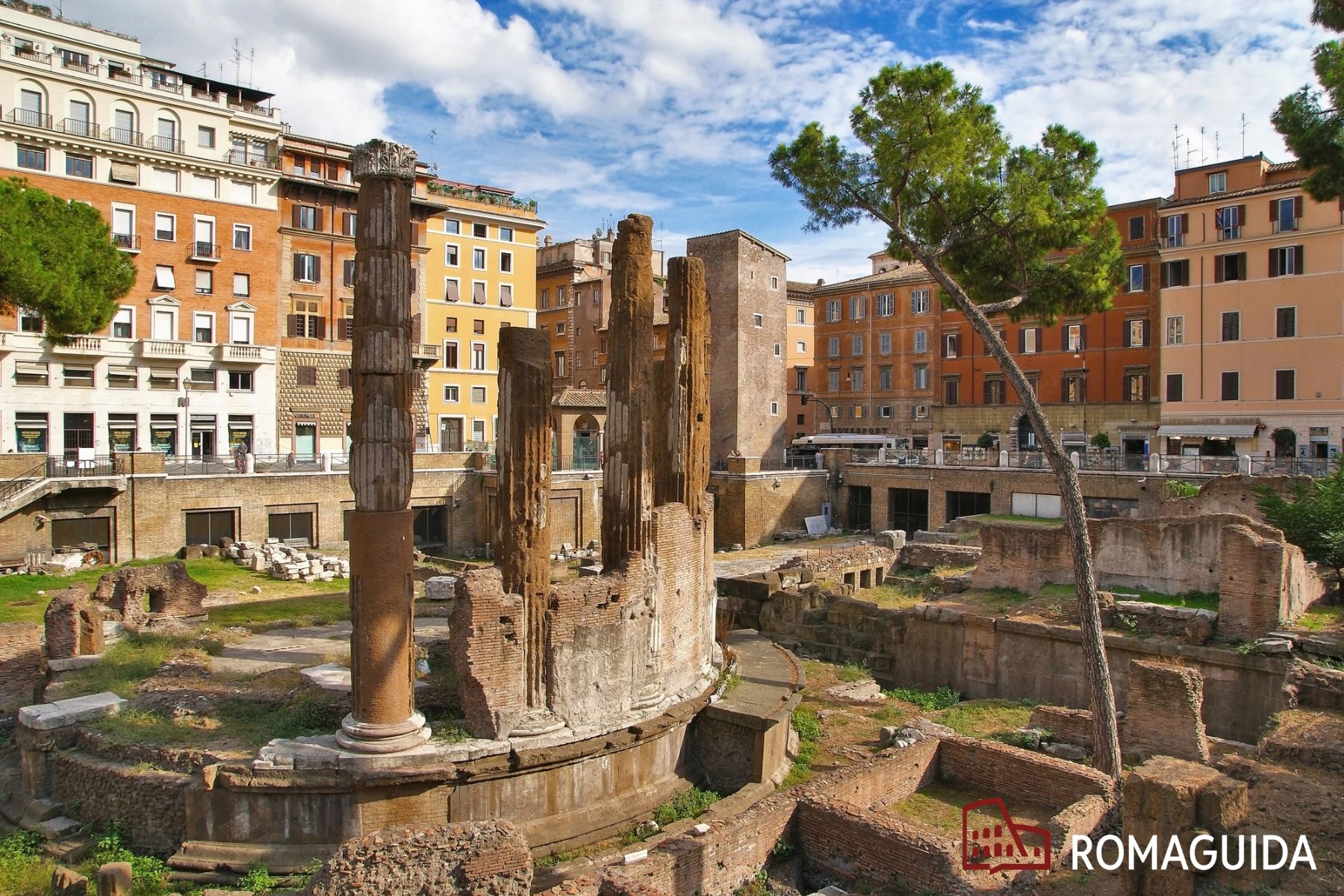 Visita guidata all'Area Sacra di Largo Argentina Roma