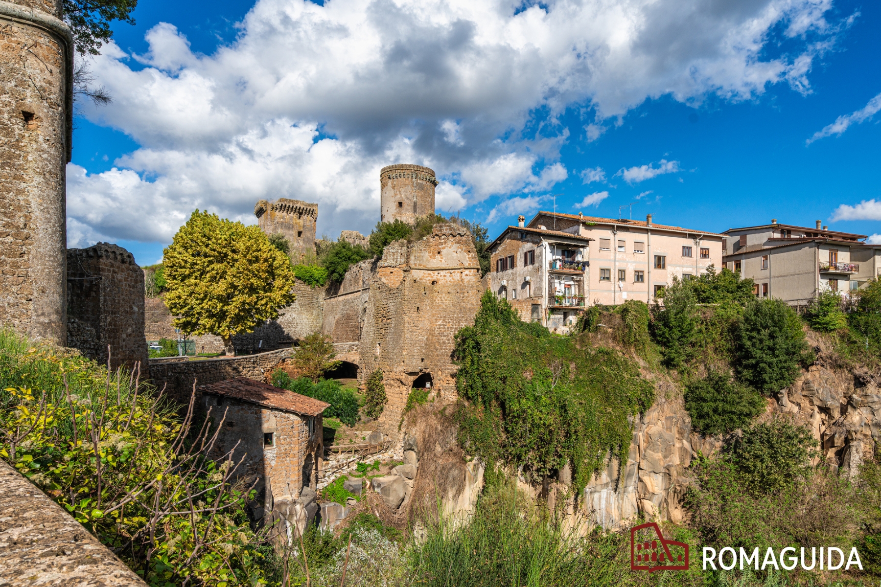 Visita guidata Nepi Romaguida