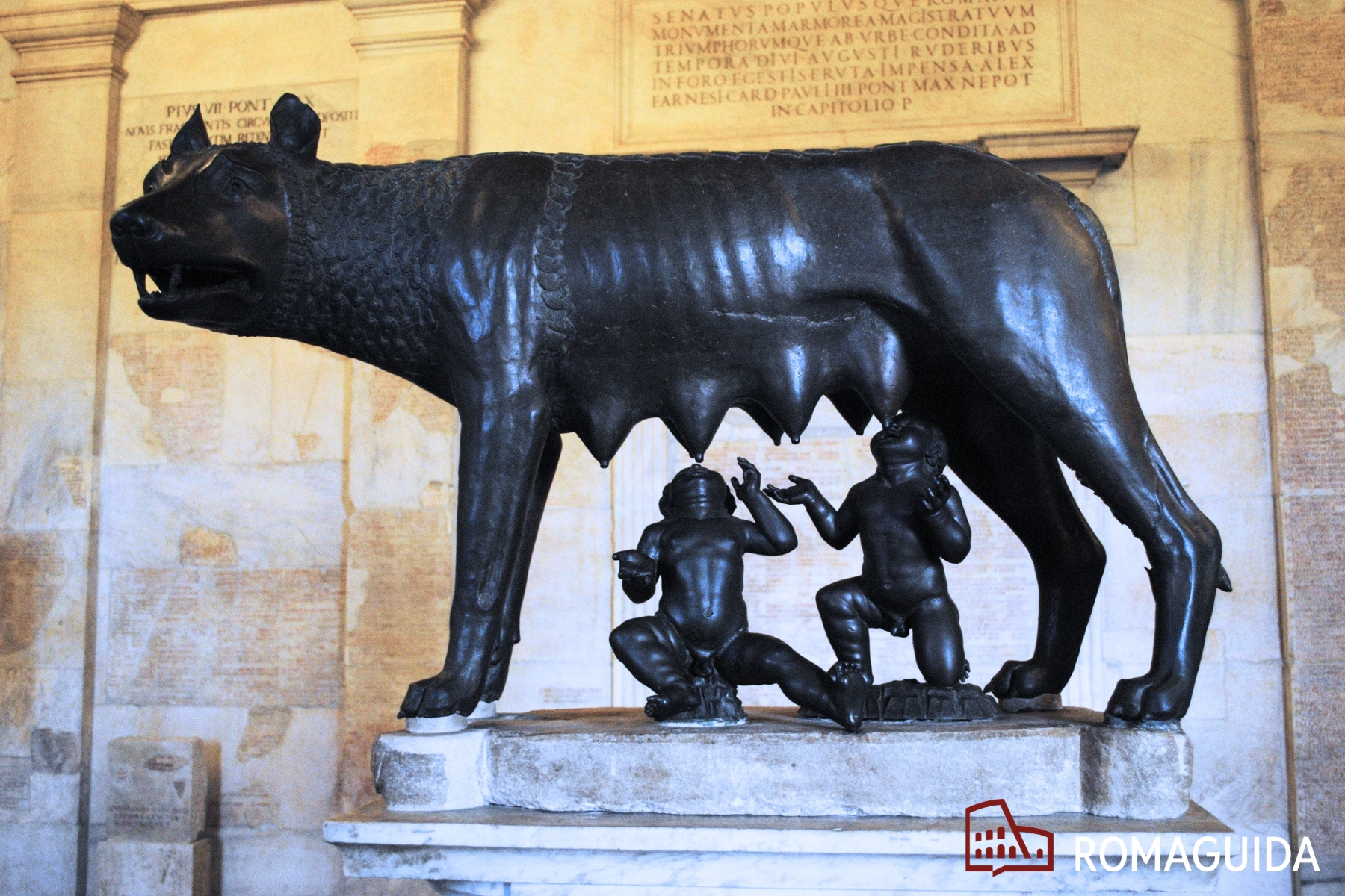 Visita Guidata Musei Capitolini Roma