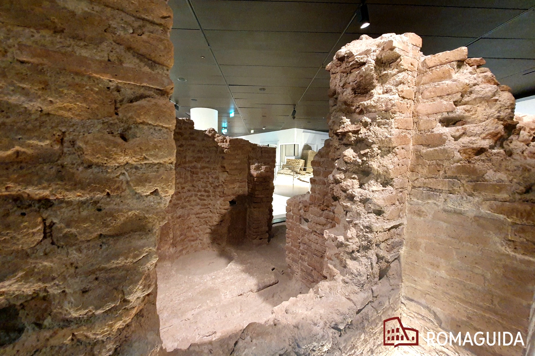 Visita guidata Museo Ninfeo Roma