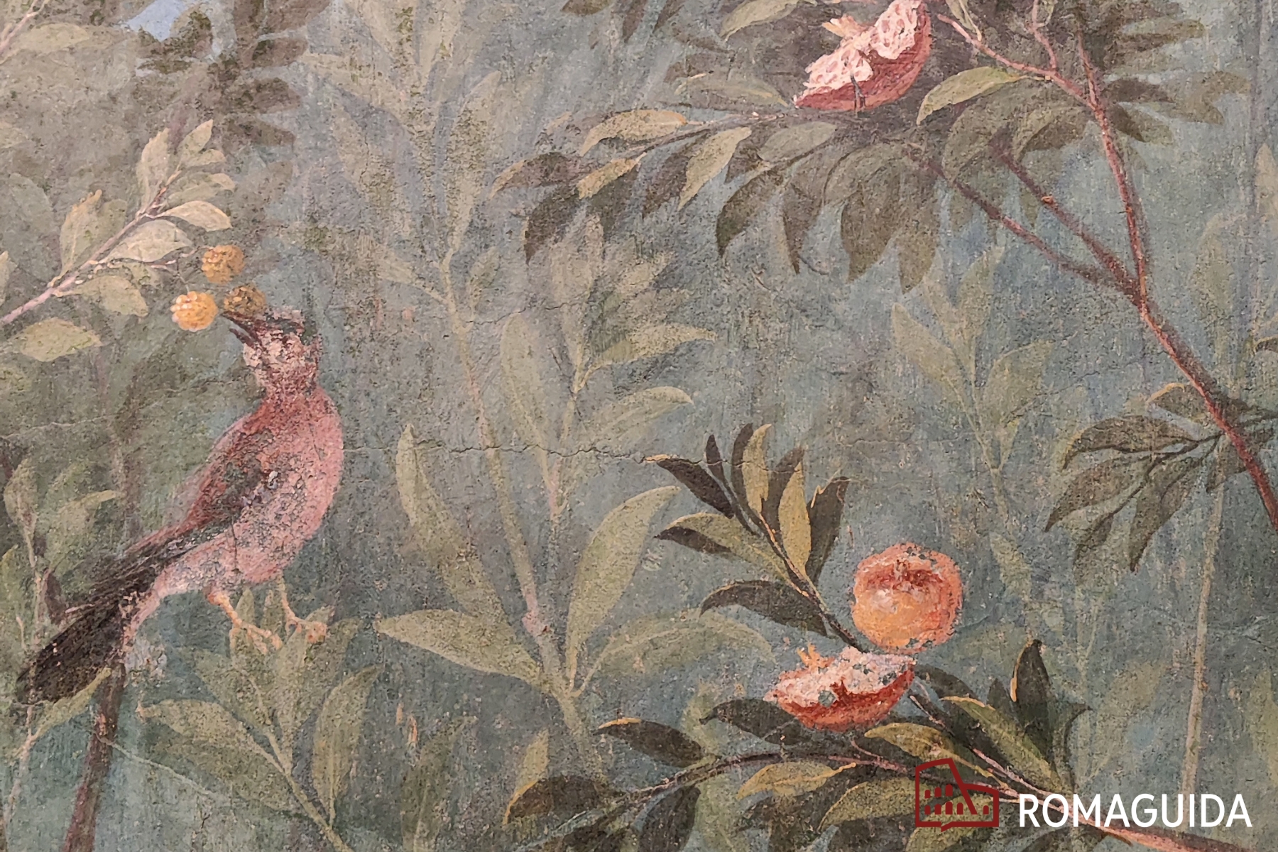 Visita guidata Museo Palazzo Massimo