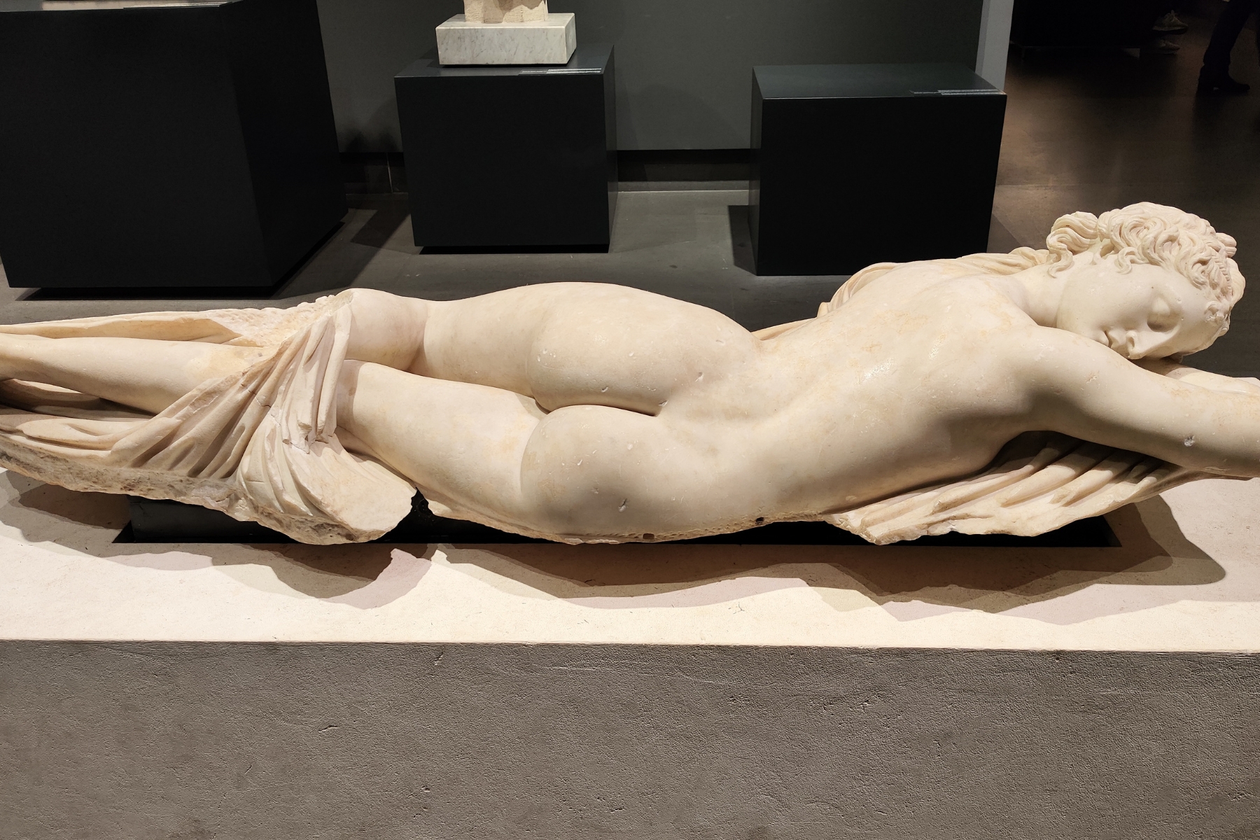 Visita guidata Museo Palazzo Massimo