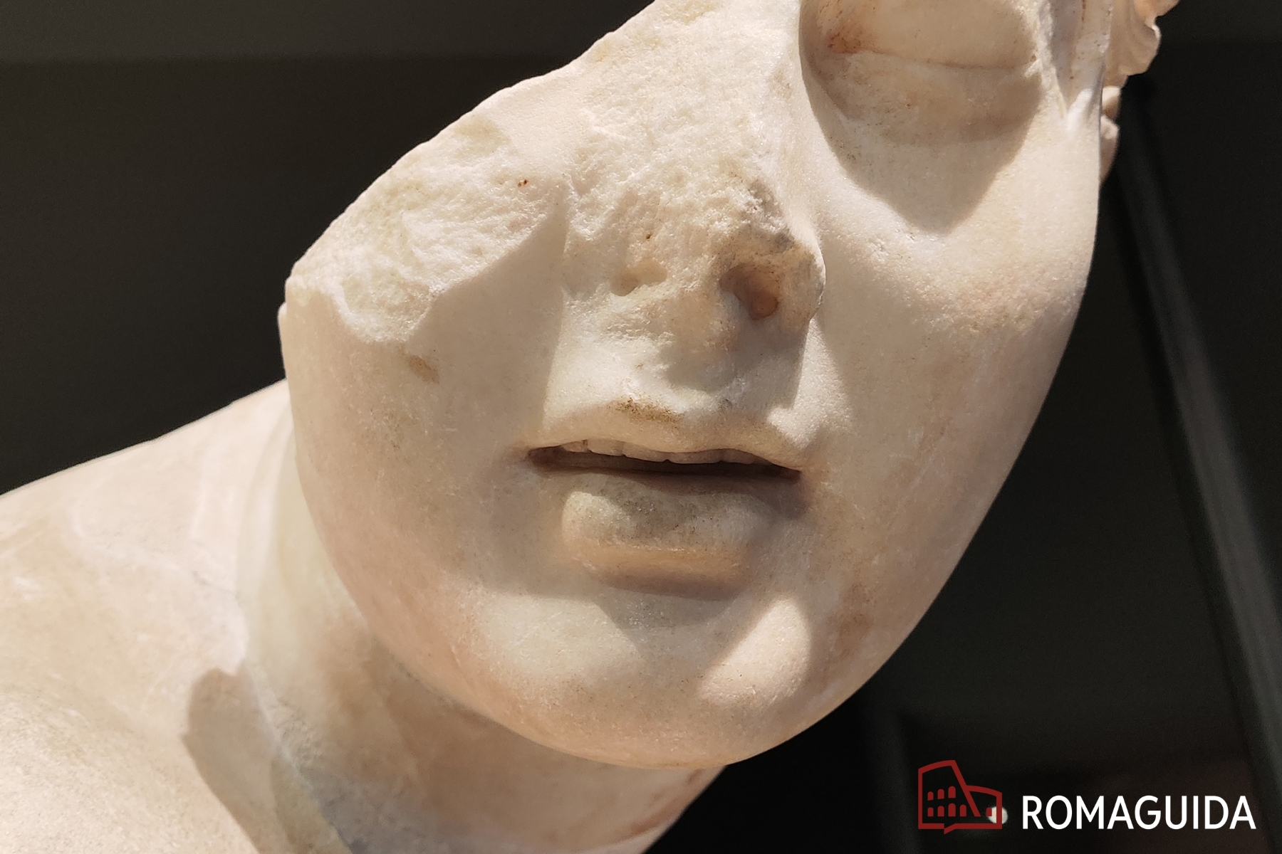 Visita guidata Museo Palazzo Massimo