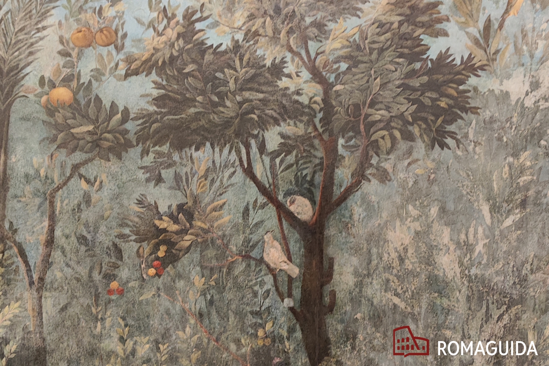 Visita guidata Museo Palazzo Massimo