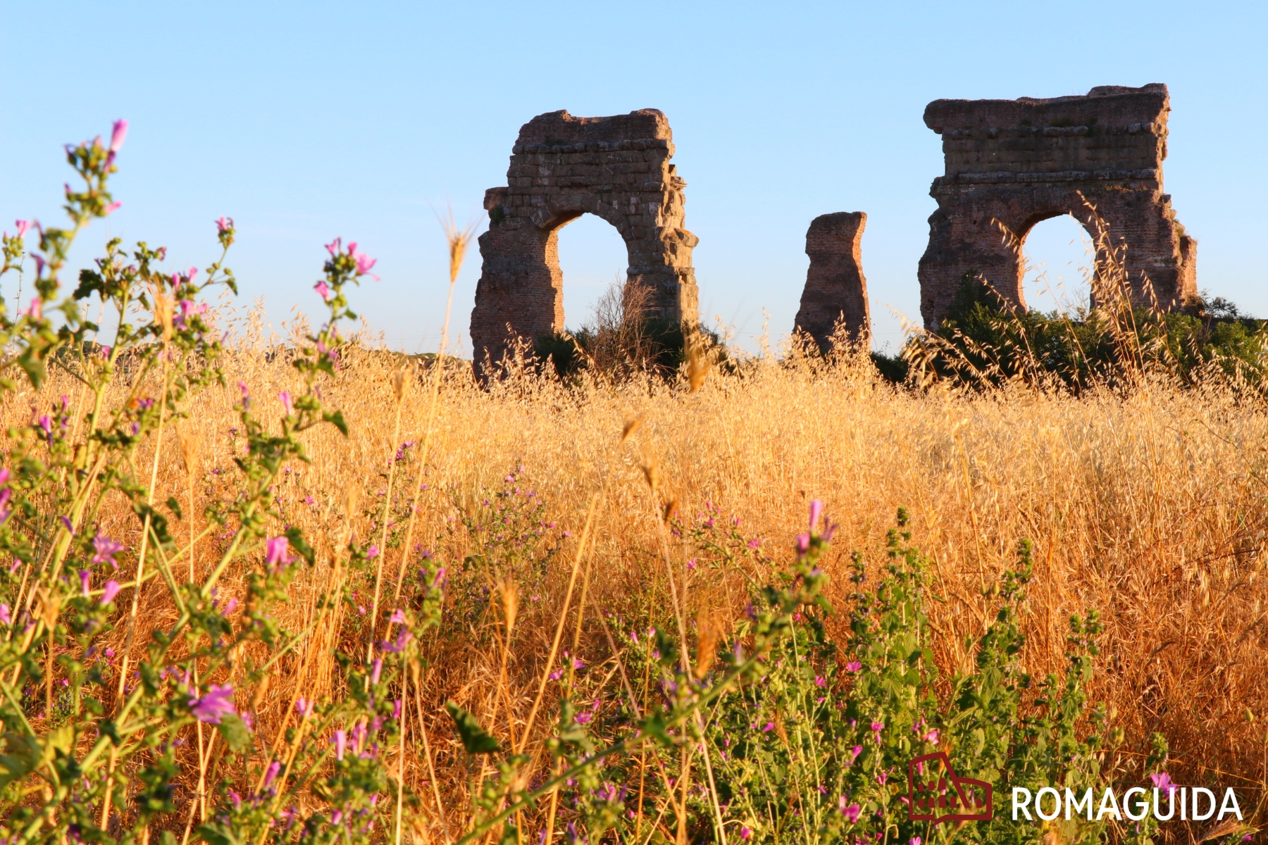 Visita guidata Parco Acquedotti Roma