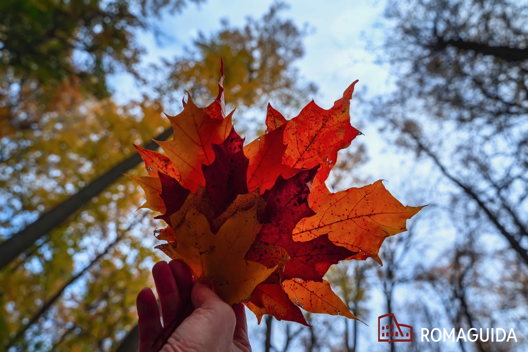 Orto Gianicolo Roma Autunno